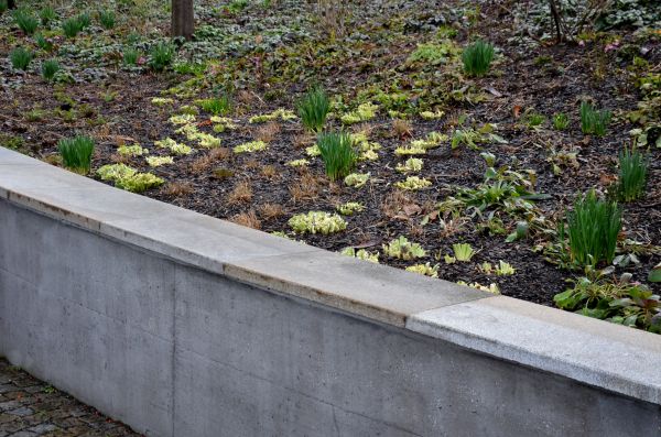 Concrete Wall Construction in Vacaville