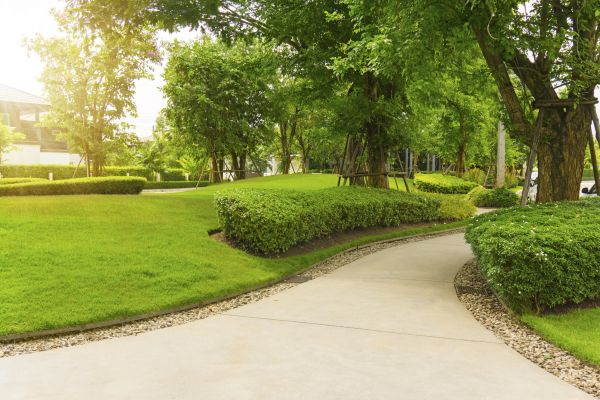 Walkway Concrete Installation in Vacaville