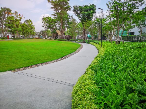 Cement Walkway Service in Vacaville