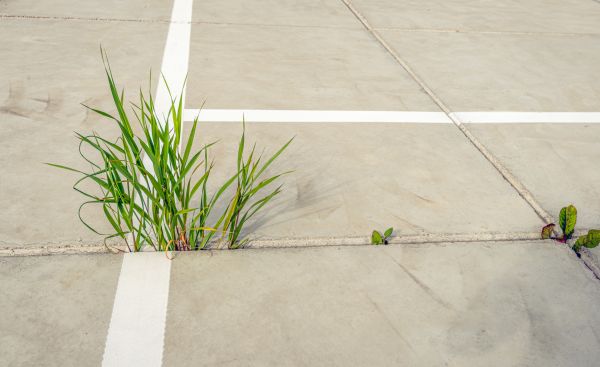 Concrete Parking Installation in Vacaville