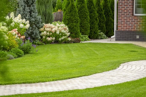 Landscape Walkway Installation in Vacaville