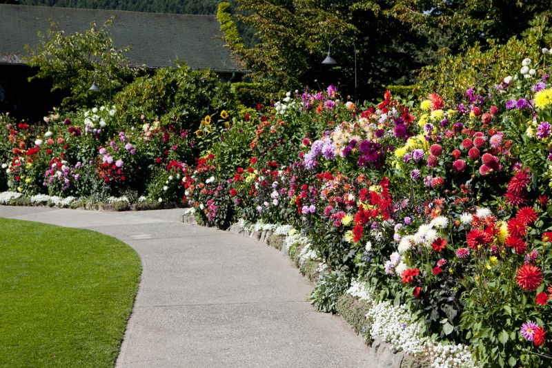 Cement Path Construction